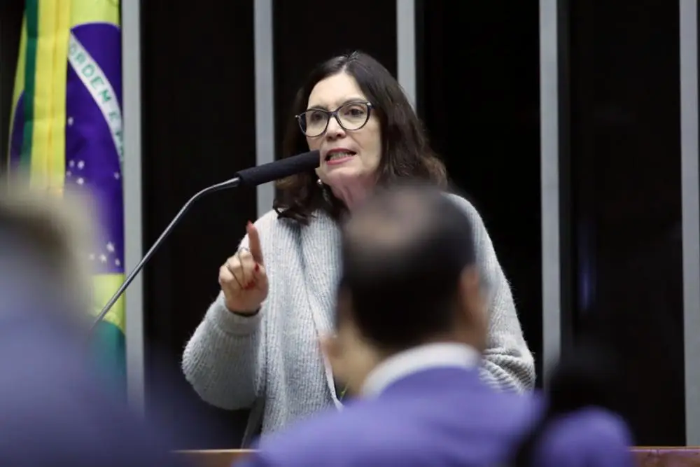 A deputada Bia Kicis protocolou requerimentos na C�mara