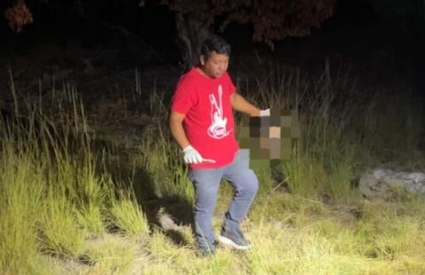 Ao lado da cabe�a humana, fac�es e picaretas
