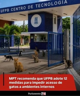 Com a falta de alimentos, gatos morrer�o de fome